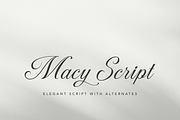 Macy Script, a Script Font by Creative Foundry (Thumbnail 1 of 9)