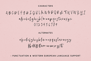 Jubilantly Script Font