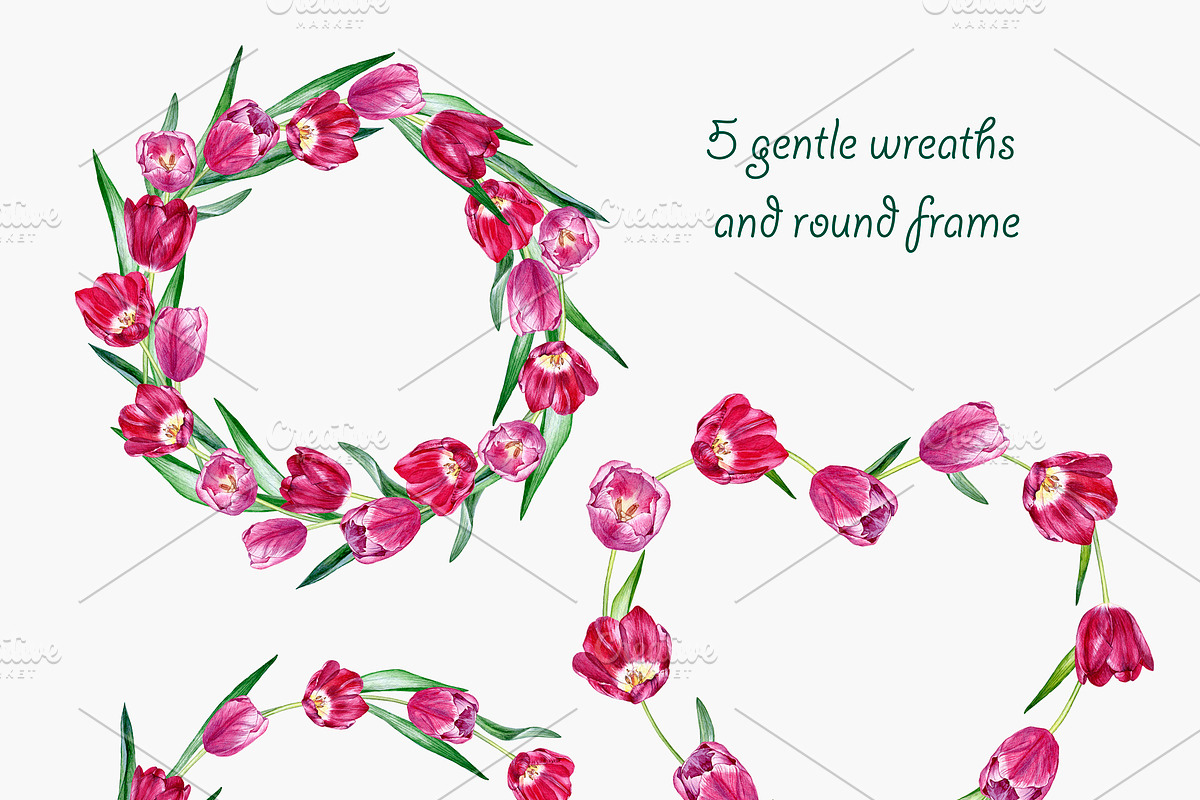 Tulips, an Illustration by OlyaSenko (Photo 4 of 6)