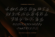 Donna Smith - Stylish Signature, a Script Font by Sarid Ezra (Thumbnail 10 of 10)