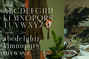 ABSINTIO - Stylish Classic Typeface, a Serif Font by One Pillar Studio (Thumbnail 2 of 8)