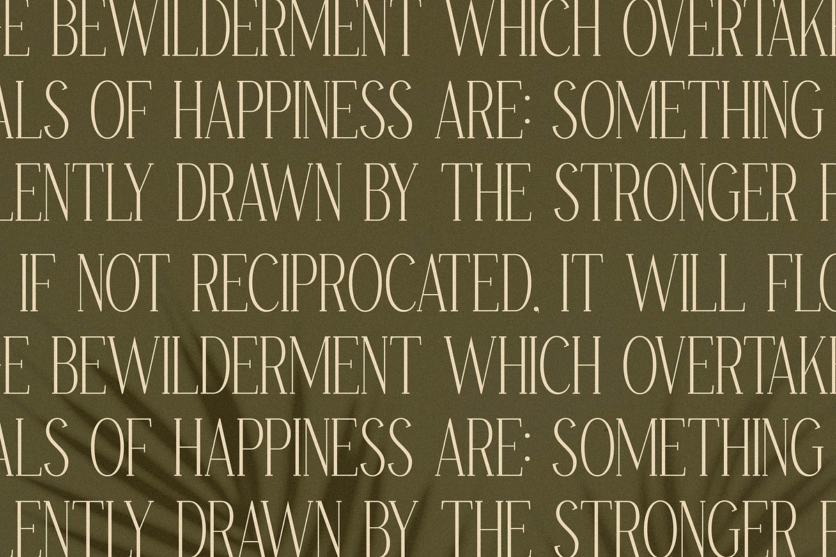 Basramle Ligature Serif Font, a Serif Font by Storytype Studio (Photo 11 of 15)