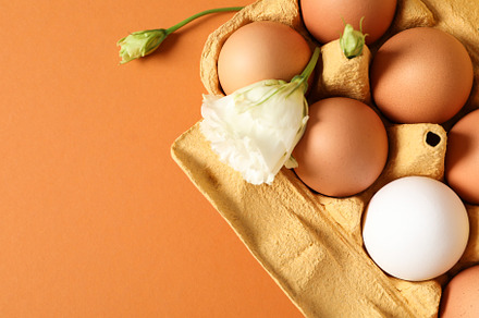 Concept of spring, eggs with flowers, space for text, a Food & Drink Photo by AtlasStudio PRO