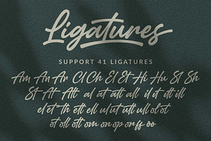 SALE! Amertha - Bold Signature Font