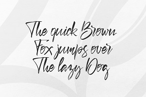 Berus. Handwritten Brush Font