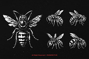 10 Bundle Dark Art Wasp Insect Skull, an Illustration by Morspective (Thumbnail 5 of 7)
