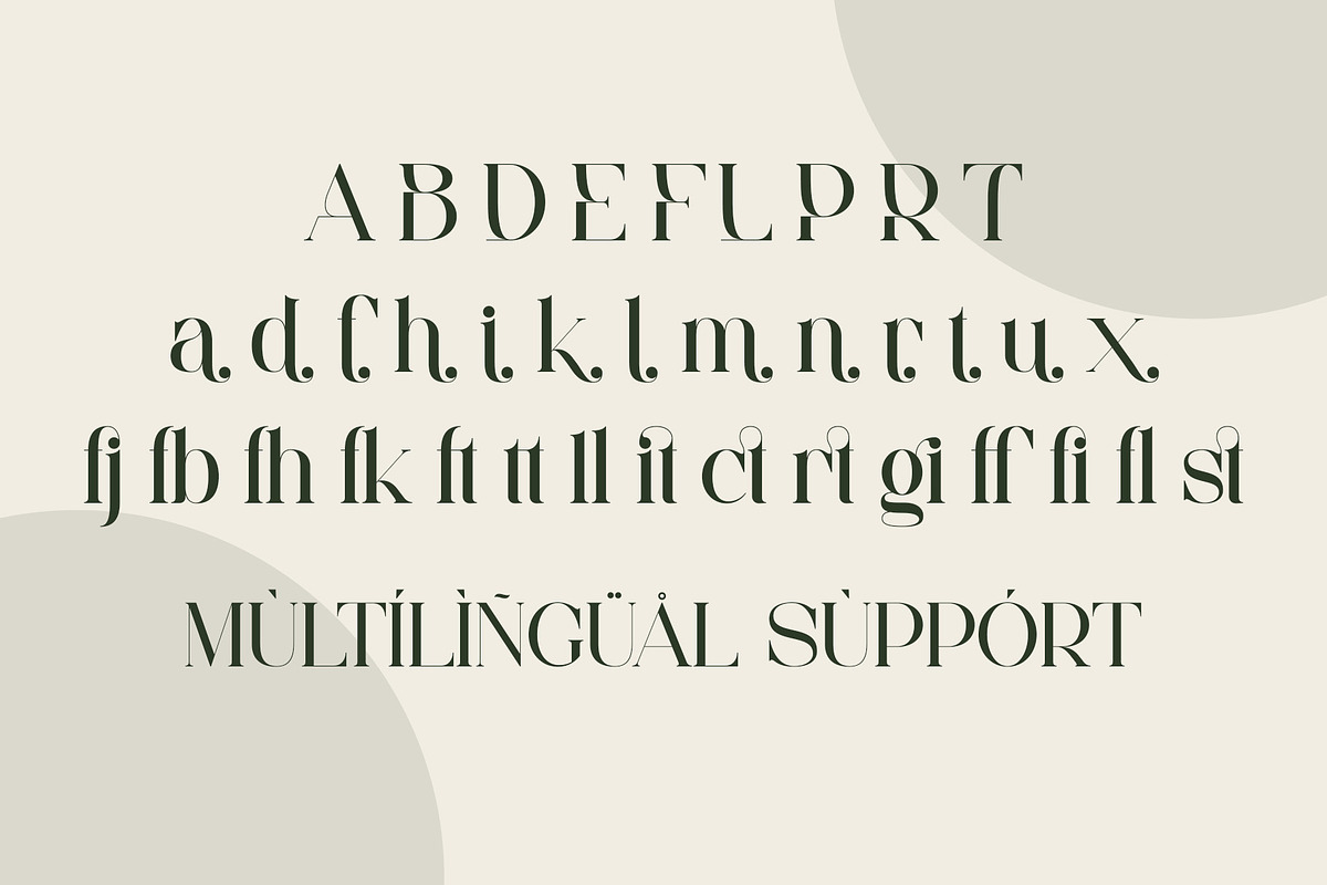 Faiten - Modern Serif Font, a Serif Font by Aqeel_Art (Photo 11 of 12)