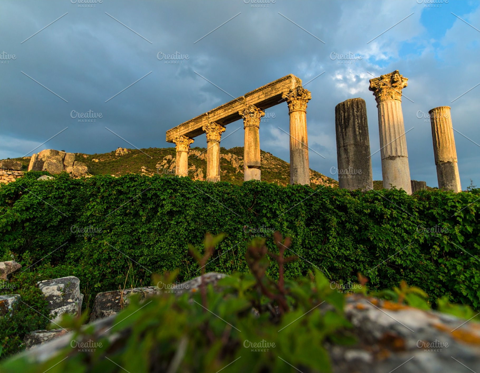ivy overgrown over ruins AI generated, a Photo by WorldOfPhotos