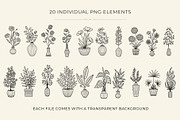 Botanical Line Art PNG Bundle, a Decorative Illustration by shielscreations (Thumbnail 2 of 5)