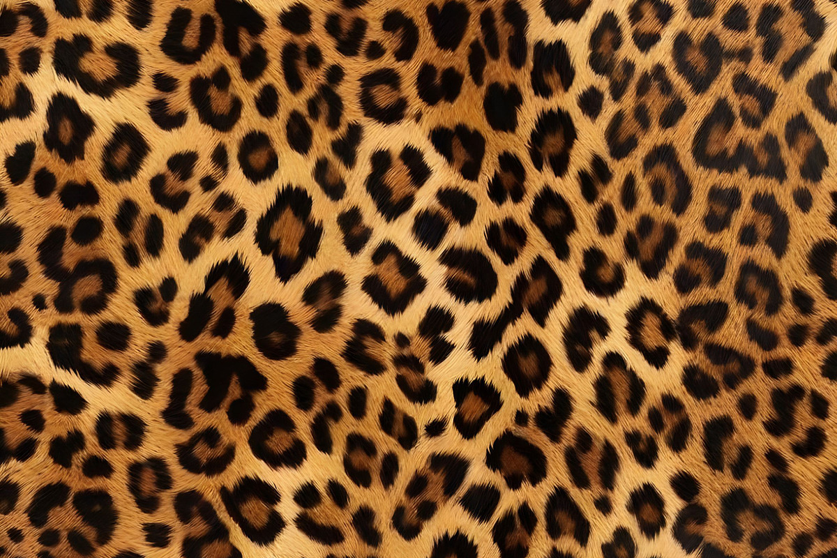 Safari Animals Skin Print Texture, a Graphic by UniqueMe (Photo 16 of 21)