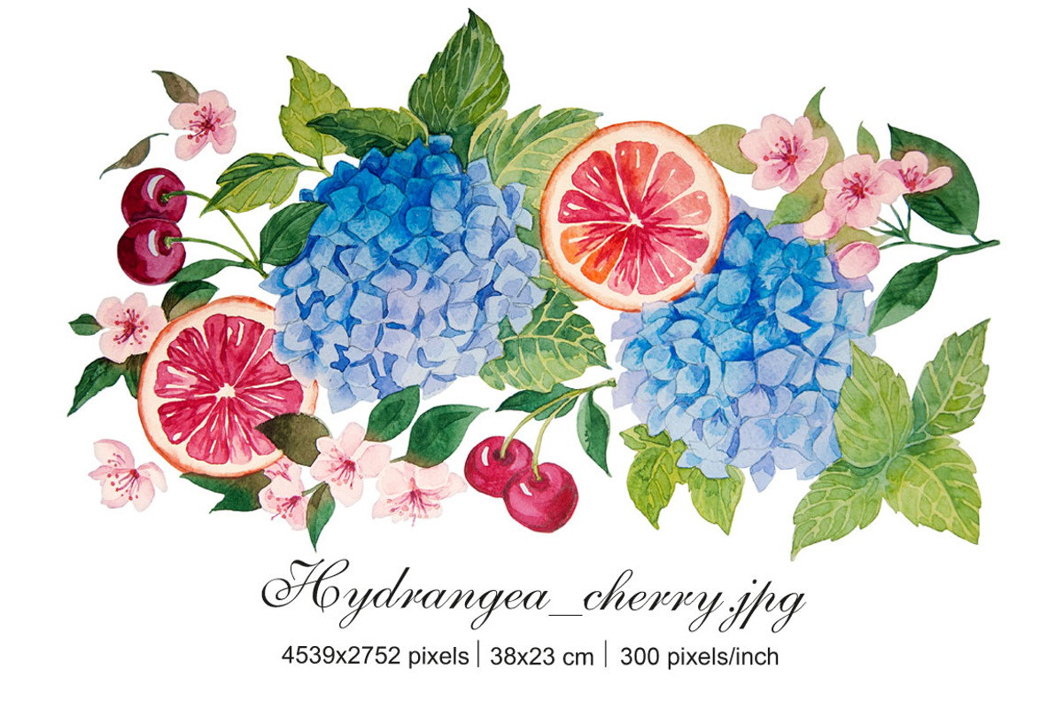Fruits & Flowers Set, an Illustration by Marina.Markizova (Photo 5 of 5)