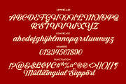 Ladger Font, a Script Font by HRDR (Thumbnail 10 of 12)