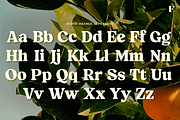 Blood Orange Vintage Serif, a Serif Font by Fenotype (Thumbnail 6 of 16)