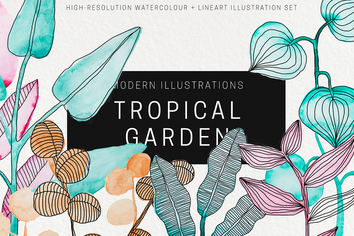Tropical Garden Modern Illustrations, an Object Graphic by Lum3n (Photo 1 of 7)