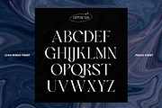 Peach Chery | Display Serif Font, a Serif Font by LOOK MINUS TODAY (Thumbnail 11 of 12)