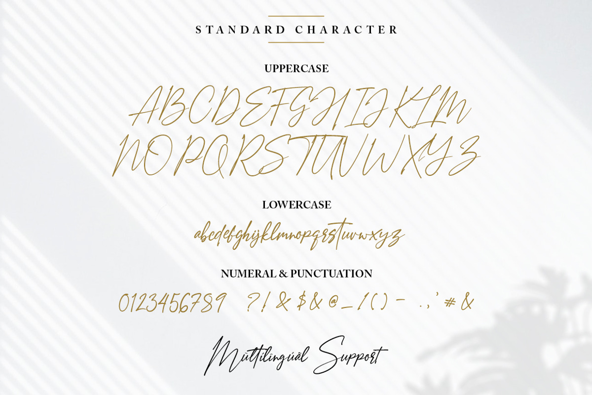 Amostely Signature Script preview 8