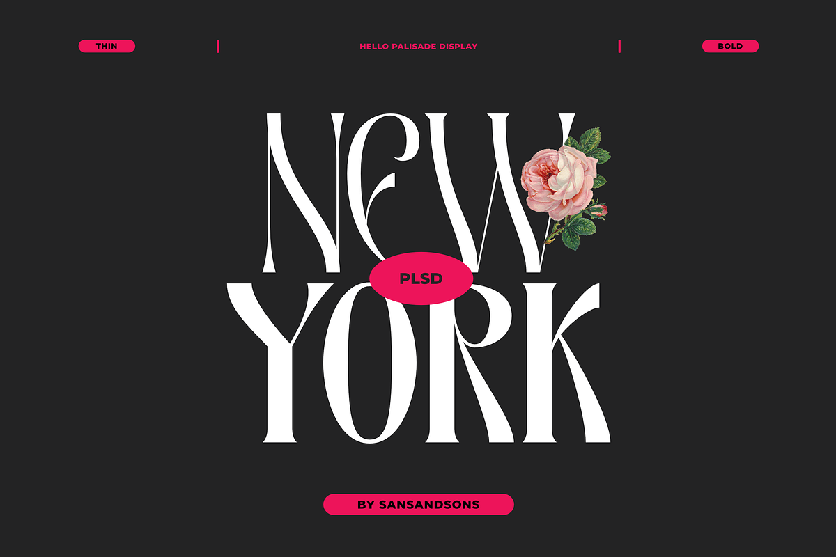 Hello Palisade Family, a Serif Font by Sans & Sons (Photo 4 of 10)
