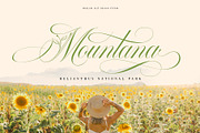 Mollani Nature Script, a Script Font by alit design (Thumbnail 8 of 20)