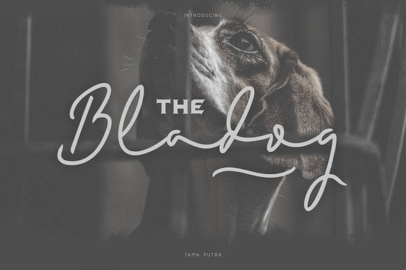 Bladog Font preview 7