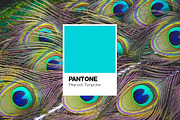Pantone Color Cards Mockup, a Wearable Device Mockup by Pulpixel Design (Thumbnail 9 of 13)