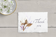 Spring Cotton and Dried Foliage, an Illustration by AnaPierceArt (Thumbnail 6 of 6)