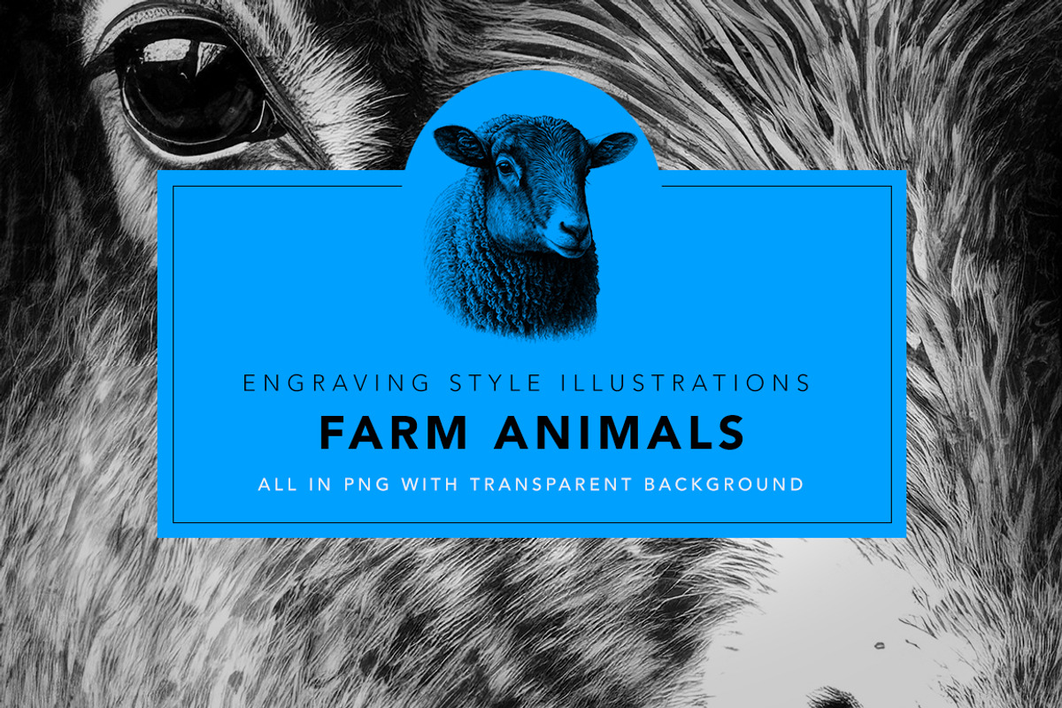 Famr Animals - illustrations, an Animal Illustration by Graxaim Mock-up (Photo 1 of 4)