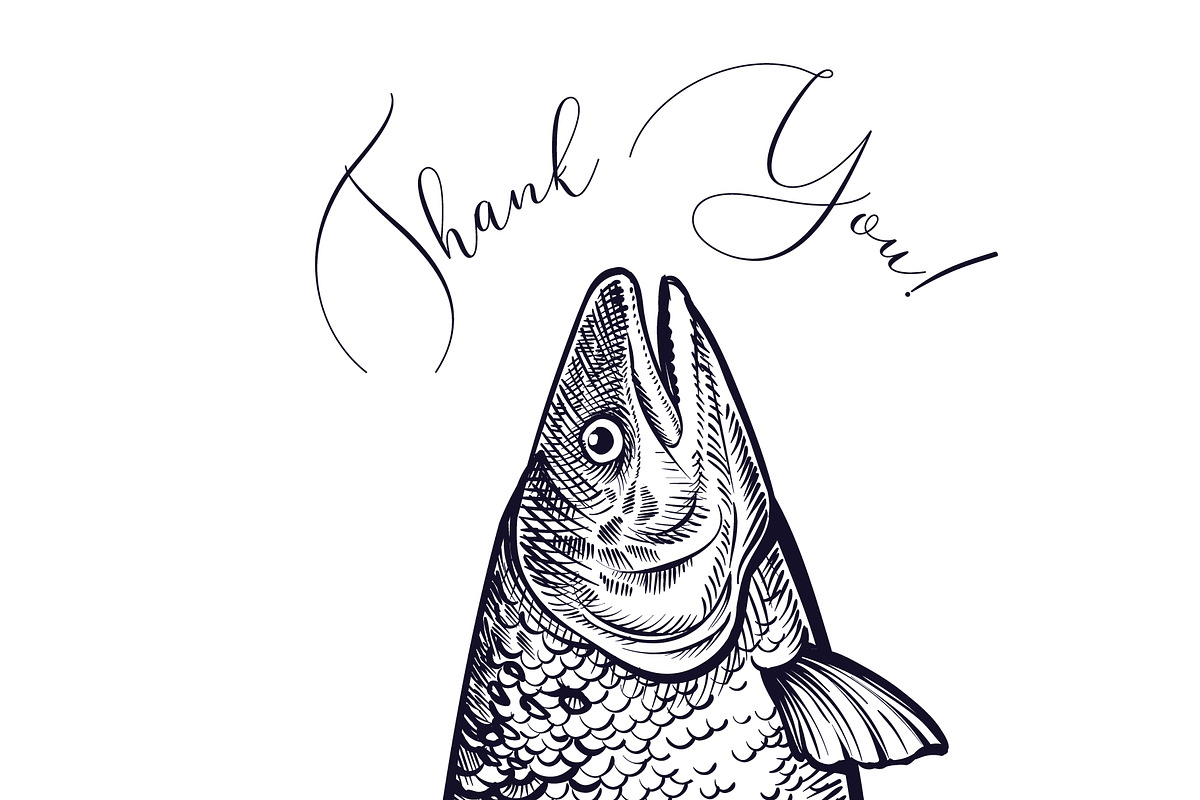 Salmon & Fish vector sketch, a Food Illustration by Aquatinta (Photo 13 of 13)