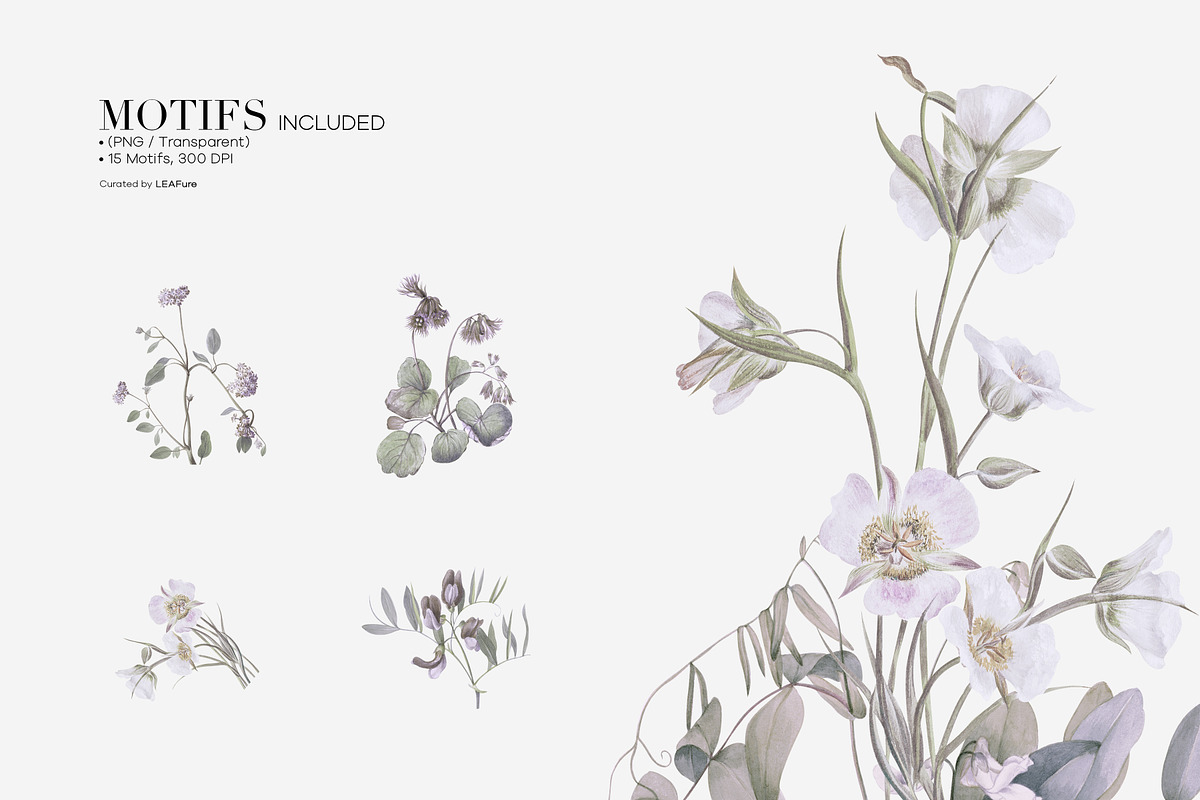 Vintage Botanical Patterns & Motifs, a Pattern Graphic by LEAFure (Photo 8 of 10)