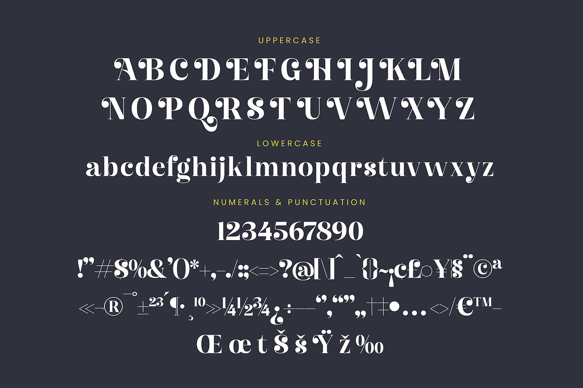 Giglik Merkia Elegant Serif Bold, a Serif Font by Letterena Studios (Photo 13 of 15)