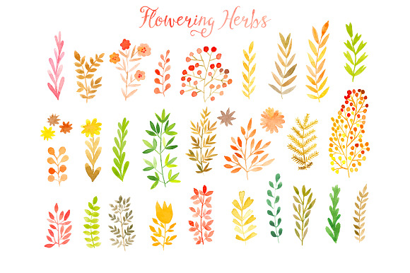 Vector Watercolor Leaf Set
