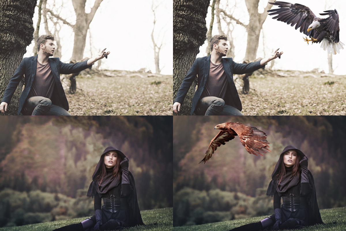Bald Eagle Overlays, an Object Graphic by DreamyOverlay (Photo 3 of 4)