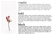 Farewell Angelina font family, a Serif Font by Ana's Fonts (Thumbnail 4 of 11)