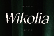 Wikolia Pixel, a Serif Font by Craft Supply Co. (Thumbnail 1 of 8)