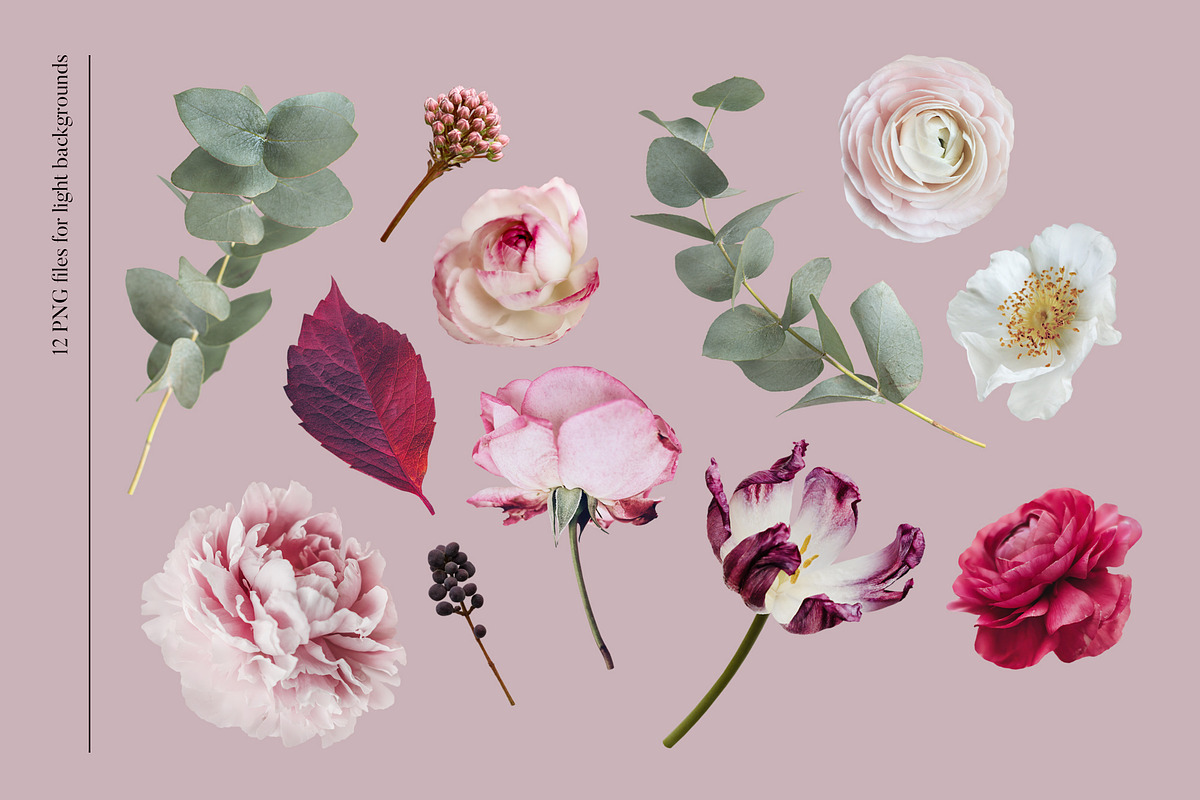 Isolated real flowers clipart set, an Object Graphic by The Graphic Parade (Photo 3 of 14)