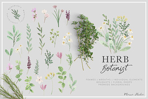 HERB BOTANIST watercolor clipart