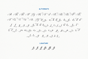 Auntha Clear | Script Font, a Script Font by twinstd (Thumbnail 11 of 13)