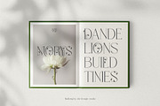 Mallong Typeface, a Serif Font by alit design (Thumbnail 2 of 17)