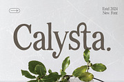 Dastine Oramica - Organic Serif, a Handwritten Font by Lettermine (Thumbnail 6 of 10)