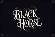 The Curious (introsale + Bonus), a Font by HTLNS.co (Thumbnail 3 of 5)