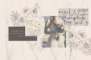 Serenade Script, a Script Font by Chocotype Std (Thumbnail 3 of 7)