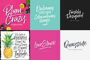 Lucky Fellas Brush Script + Extras, a Script Font by Nicky Laatz (Thumbnail 13 of 16)