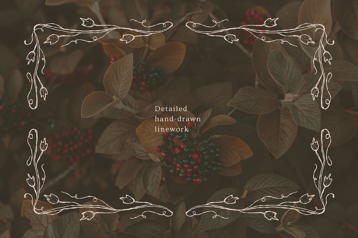 Autumn botanical hand-drawn graphics, a Decorative Illustration by CapriceMeDesigns (Photo 6 of 11)