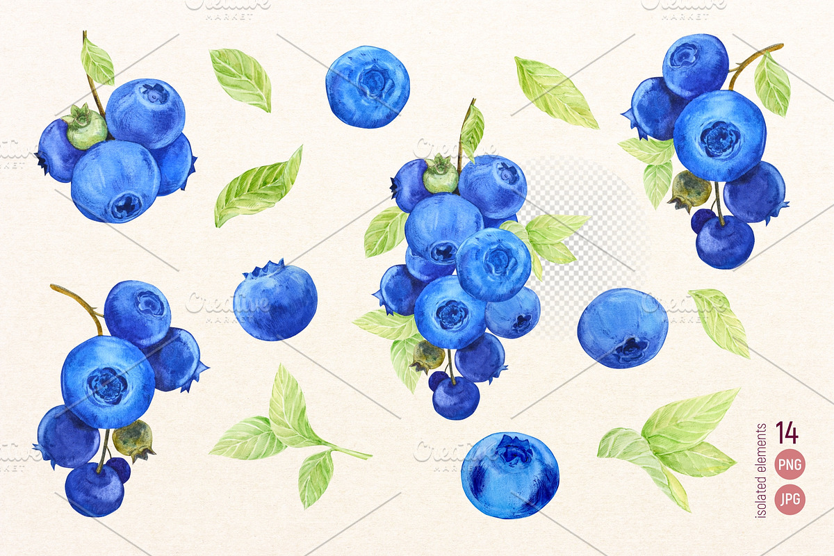 Wild Blueberries. Watercolor Clipart, a Food Illustration by Tata Pilip (Photo 2 of 8)