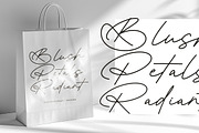 Antique Prestig Stylish Signature, a Script Font by stylishtype.co (Thumbnail 4 of 20)