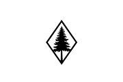 Geometric Pine Tree Emblem Bundle, an Illustration by Creativeshirt (Thumbnail 10 of 31)
