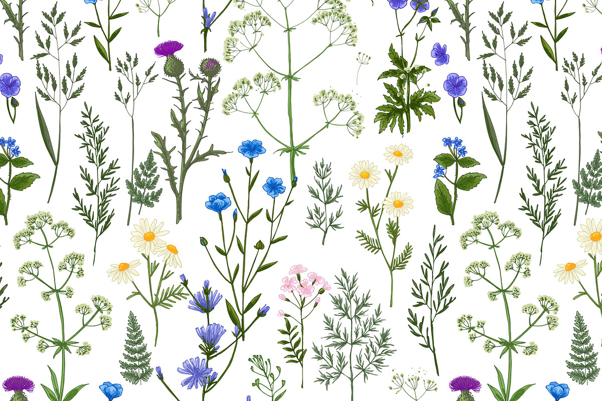 Wild herbs. Wildflowers pattern, a Pattern Graphic by irina.vaneeva (Photo 4 of 6)