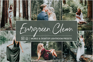 EVERGREEN CLEAN LIGHTROOM PRESETS