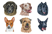100+ Watercolor Dog Breeds - UPDATE, an Animal Illustration by ArtbyHien (Thumbnail 9 of 9)