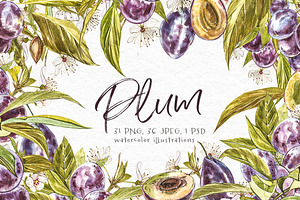 Plum in botanical style