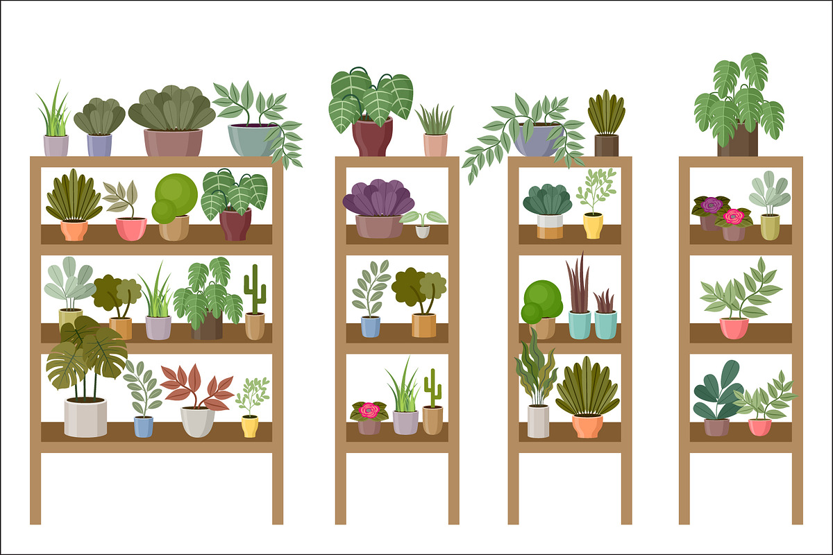 Flower and Home Plant Store, a Decorative Illustration by Gurza SHOP (Photo 2 of 8)